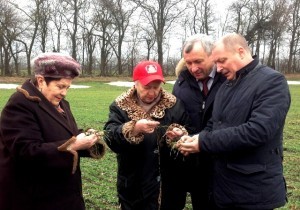 vesna kuban