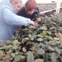 В Калужской области проведена сертификация оздоровленных саженцев плодовых культур для крымских садов В Калужской области проведена сертификация оздоровленных саженцев плодовых культур для крымских садов