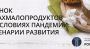 Крахмалопаточная отрасль ищет новые рынки сбыта и применения продукции Крахмалопаточная отрасль ищет новые рынки сбыта и применения продукции