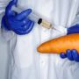 Экопродукты: миф или реальность? Экопродукты: миф или реальность?