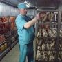 Омские переработчики снизили цены на мясную продукцию Омские переработчики снизили цены на мясную продукцию