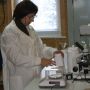 Институт органического сельского хозяйства исследует эндофитные бактерии Институт органического сельского хозяйства исследует эндофитные бактерии
