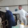 Профессионализм – это норма, главное — справиться с волнением Профессионализм – это норма, главное — справиться с волнением