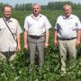 Соя станет богатством сибирской земли Соя станет богатством сибирской земли