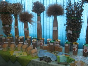 IMG_2578