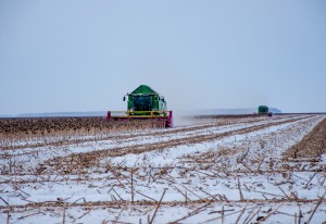 DSC_3682