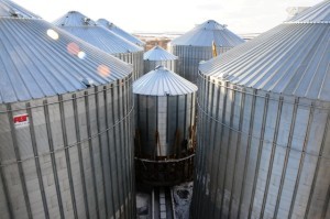 Перевоз_1