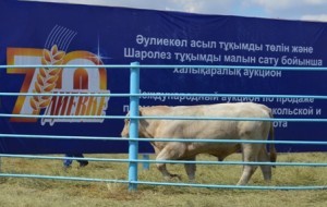 DSC_1563