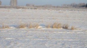 IMG_5707