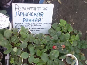 20150903_144631