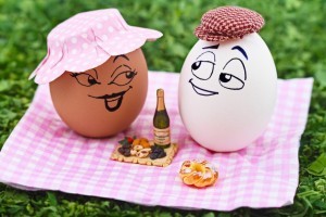 995_funny_eggs_Dualib (24)