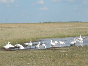dscn2952