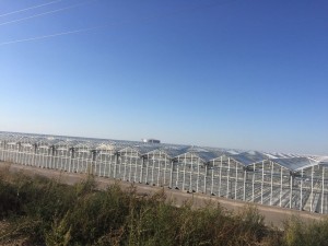 img_1033