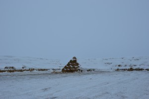 DSC_0078