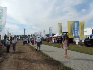 DSCN9611