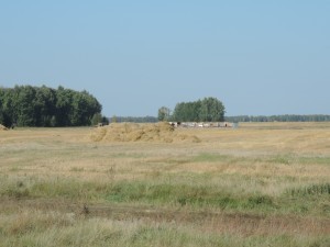 DSCN2927