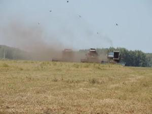 DSCN0882