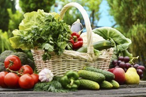 Variety of fresh organic vegetables in the garden
