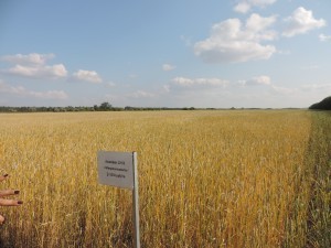 DSCN0976