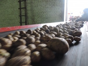 DSCN1084