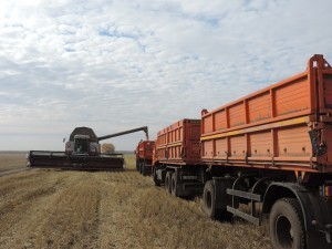 DSCN1416
