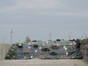 DSCN1683
