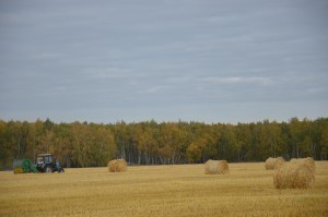 DSC_0211