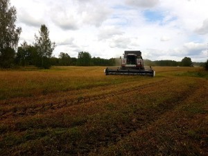 IMG-20170816-WA0073
