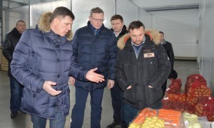 осмотр