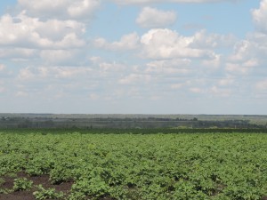 DSCN1629