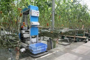 03_Tomato_Harvesting_Robot_2018