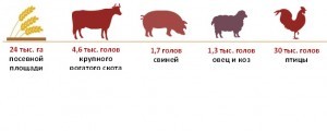 Ресурсы АПК_Знаменский