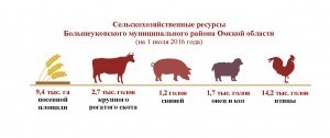 Ресурсы_Большеуковский район