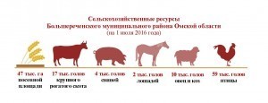 Сельхозресурсы_Большереченский район