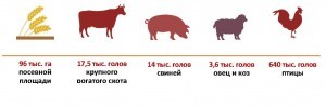 азовский_Страница_2