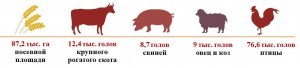 ресурсы АПК_Горьковский