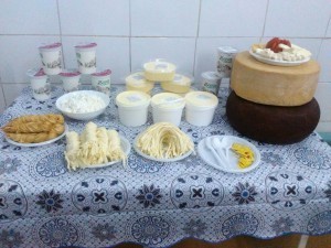 IMG-4a46404a6b6145ac4df58d2909447e96-V