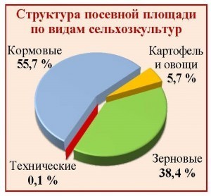 Итоги ВСХП-2016_Колосовский район_Страница_1
