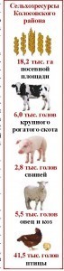 Итоги ВСХП-2016_Колосовский район_Страница_2