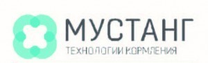 Мустанг