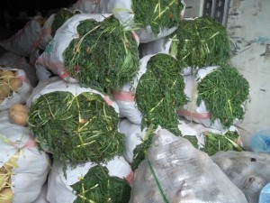 картофель_мешки_2