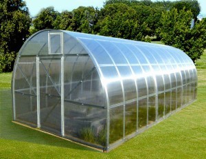 agrotime.info