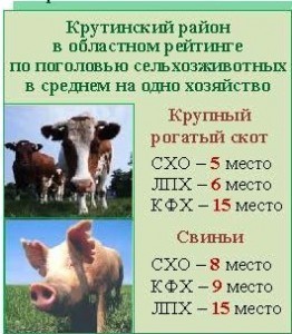 Итоги ВСХП-2016__2