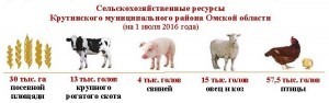 Итоги ВСХП-2016_Крутинский район_Страница_2