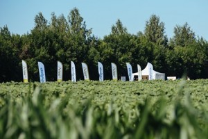 Syngenta YUGAGRO 2018 small -2