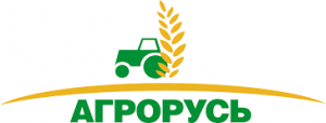Без названия