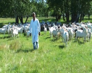 МЖ_10_07_1new.avi_snapshot_08.36