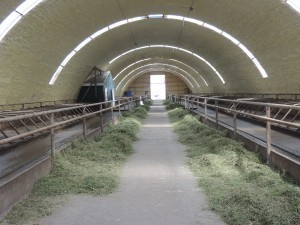 DSCN5946