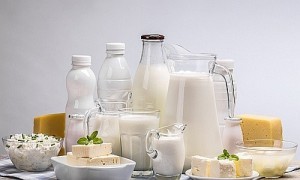 DairyProducts