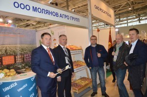 золотая осень1